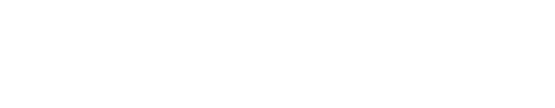 SECUREYE logo