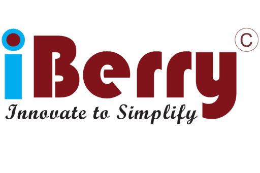 IBERRY Solutions PVT.LTD logo